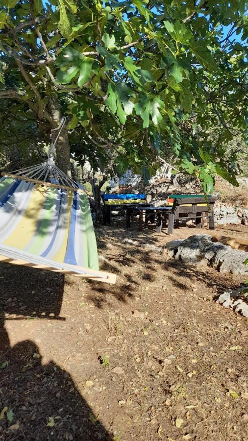 Apartman Dida Jakov Primošten Exterior foto