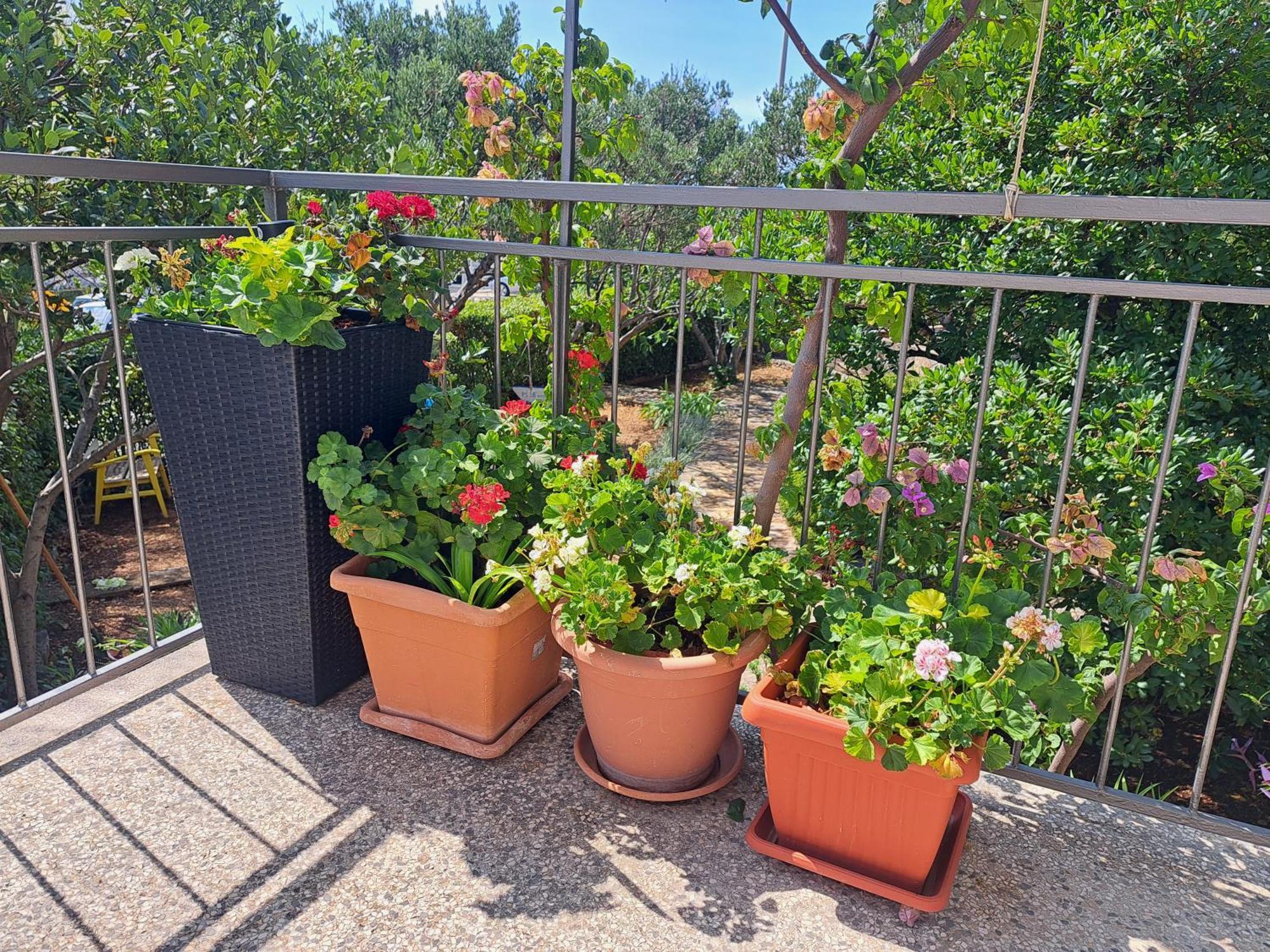 Apartman Dida Jakov Primošten Exterior foto